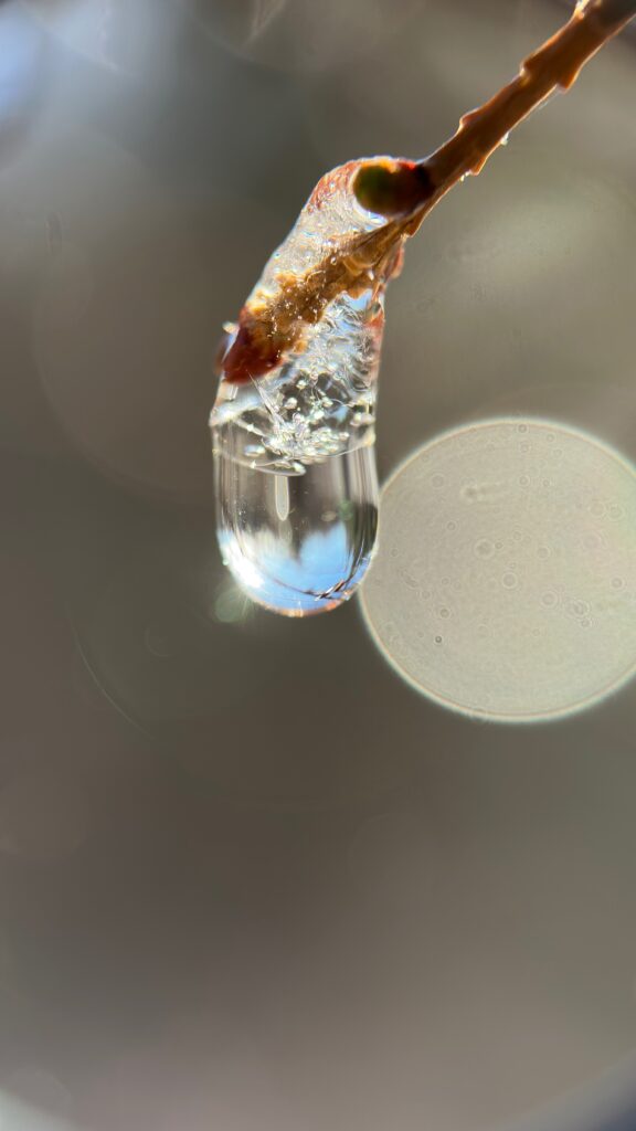 frozen drop becoming water caught in light